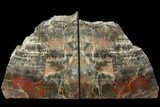 Tall, Arizona Petrified Wood Bookends - Red & Black #180244-1
